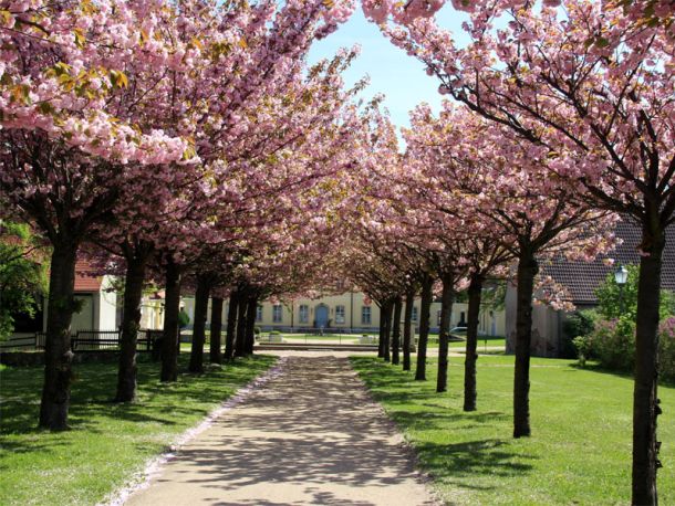 Galerie Natürliches