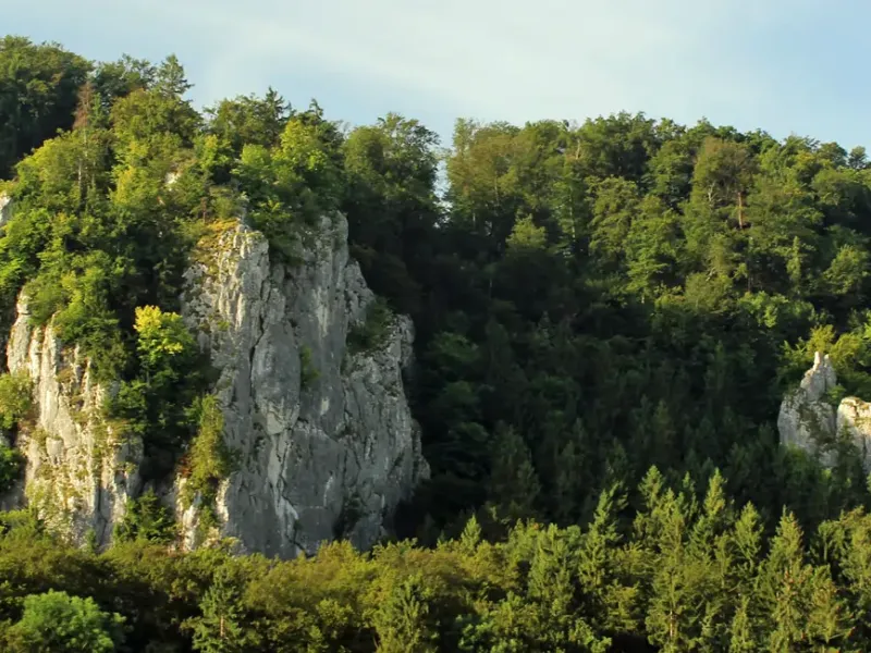 Kalksteinfelsen im Altmühltal