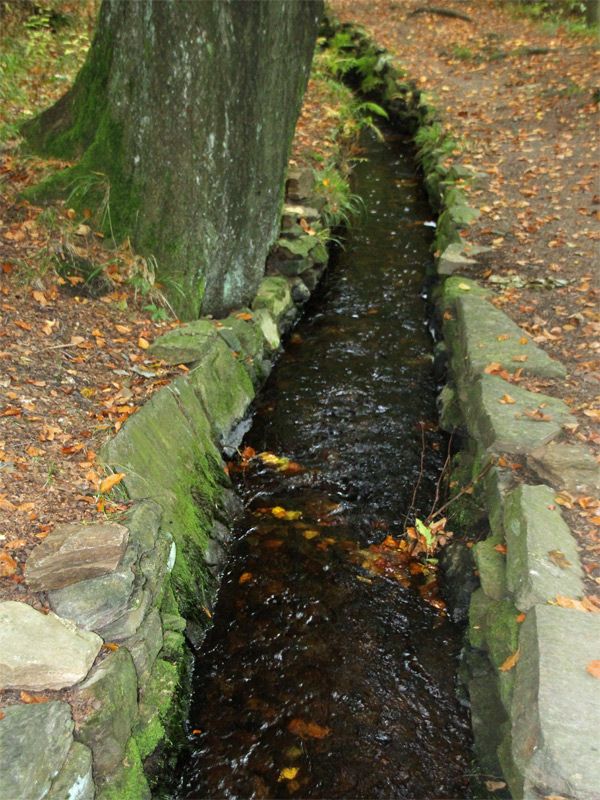 Grüner Graben an der Roten Pockau