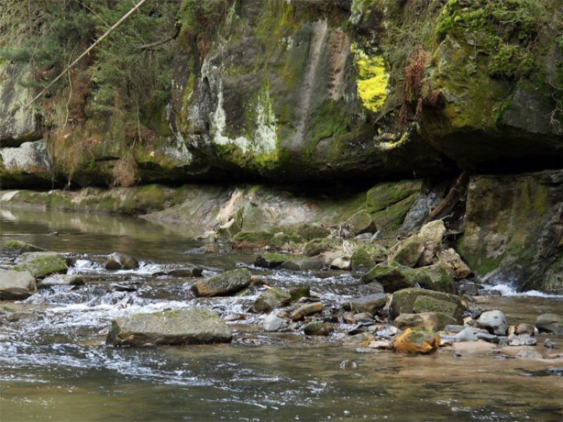 Kirnitzsch bei Bad Schandau in der Sächsischen Schweiz