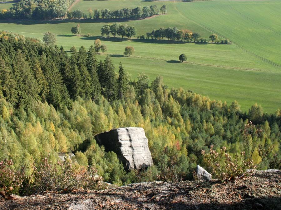 Reste vom Felssturz vom Pfaffenstein