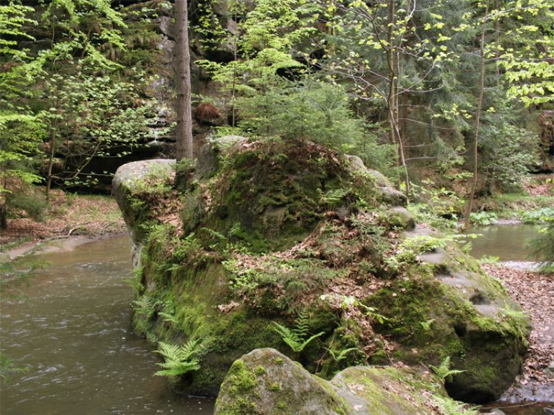 Polenztal bei Hohnstein in der Sächsischen Schweiz