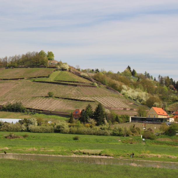Urlaubsregion Sächsisches Elbland im Bundesland Sachsen
