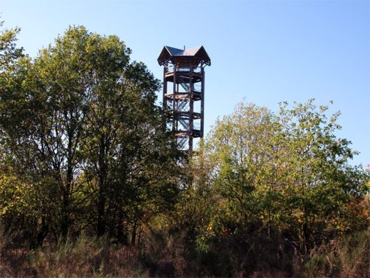 NSG Königsbrücker Heide in der Oberlausitz
