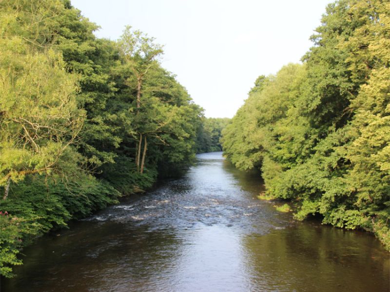 Mulderadweg Zwickauer Mulde