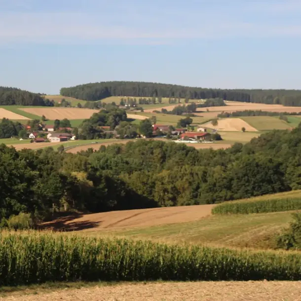 Oberpfälzer Wald in der Oberpfalz