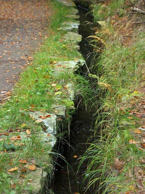 Grüner Graben an der Roten Pockau