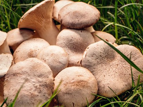 Integra Hoyerswerda GmbH in Hoyerswerda