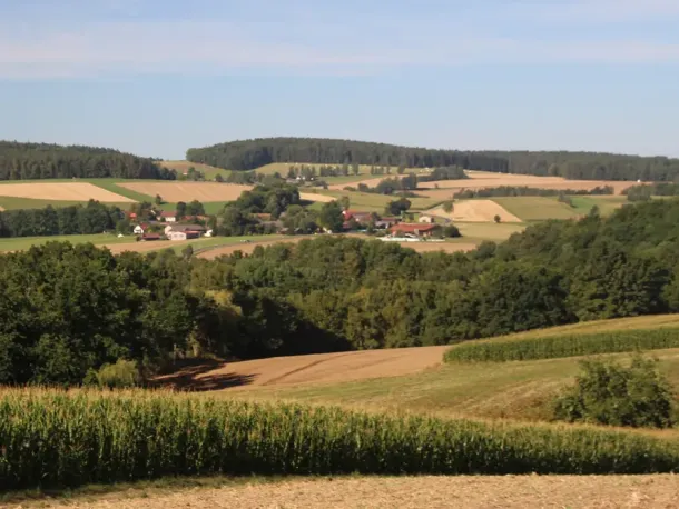 Naturpark Oberpfälzer Wald