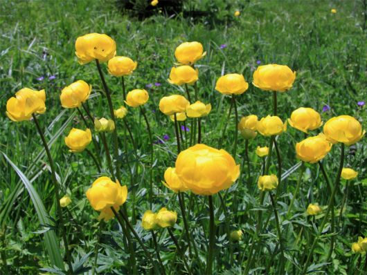 Slowakische Beskiden