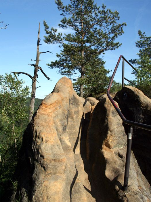 Schrammsteingratweg - Aufstieg / Abstieg  