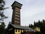 Spiegelwald mit König-Albert-Turm