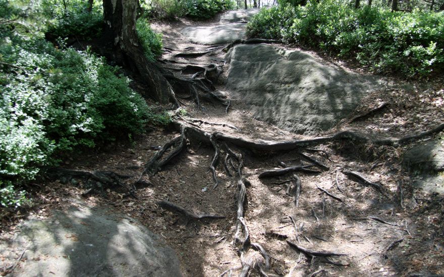 Der obere Affensteinweg - ein romantischer Bergsteig