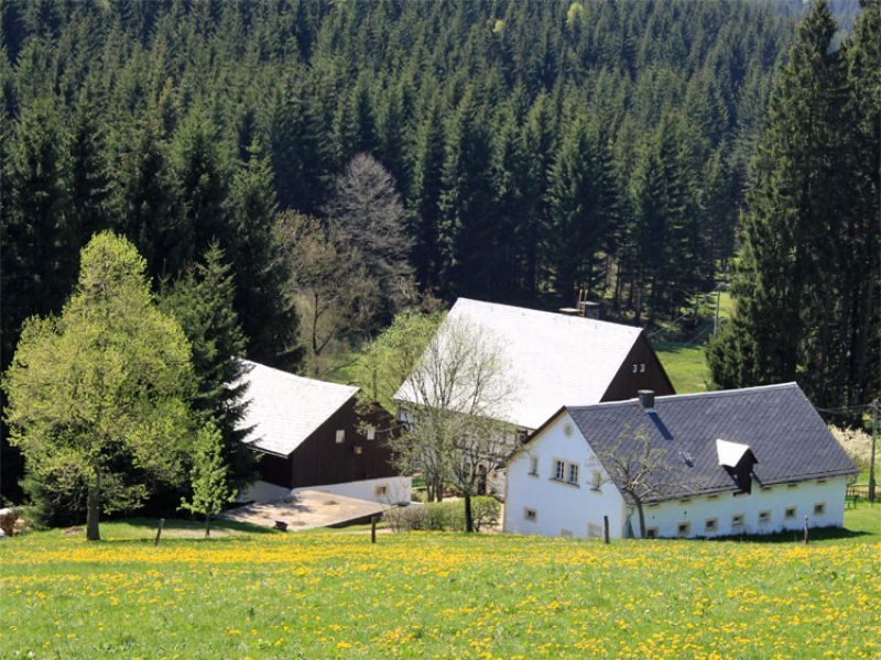 Gimmlitztal mit Mühlen im Erzgebirge