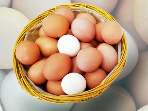 Bauern- und Geflügelhof Jurk