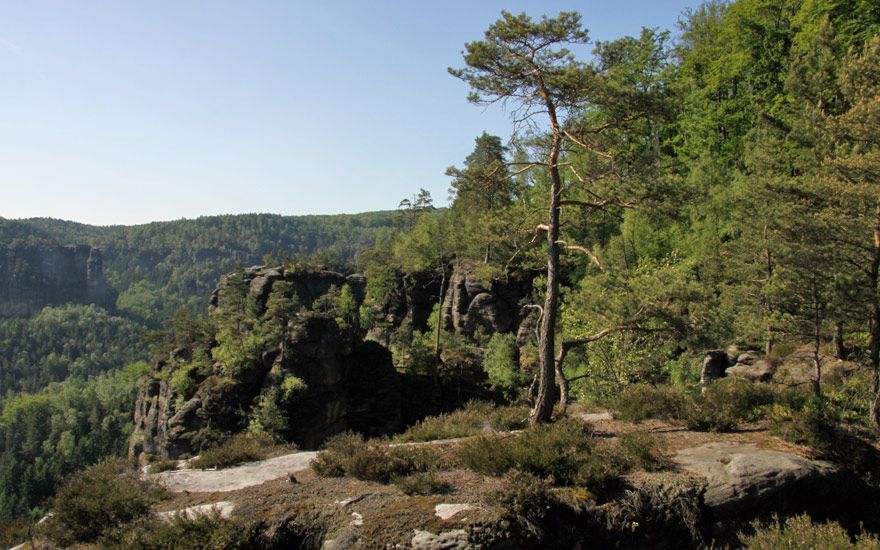 Am Kleinen Winterberg