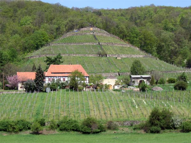Weinstube