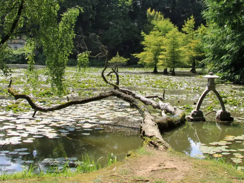 Schloss Dennenlohe bei Gunzenhausen