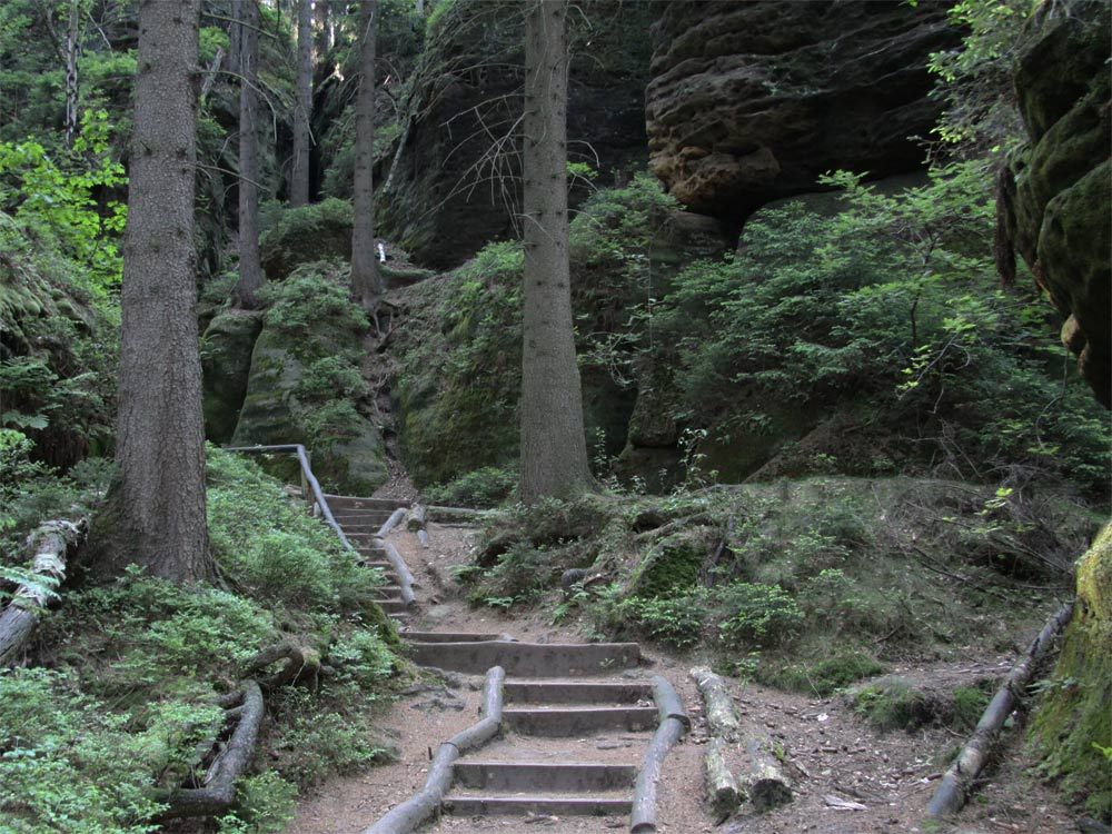 Waldweg unter der Schrammsteinaussicht