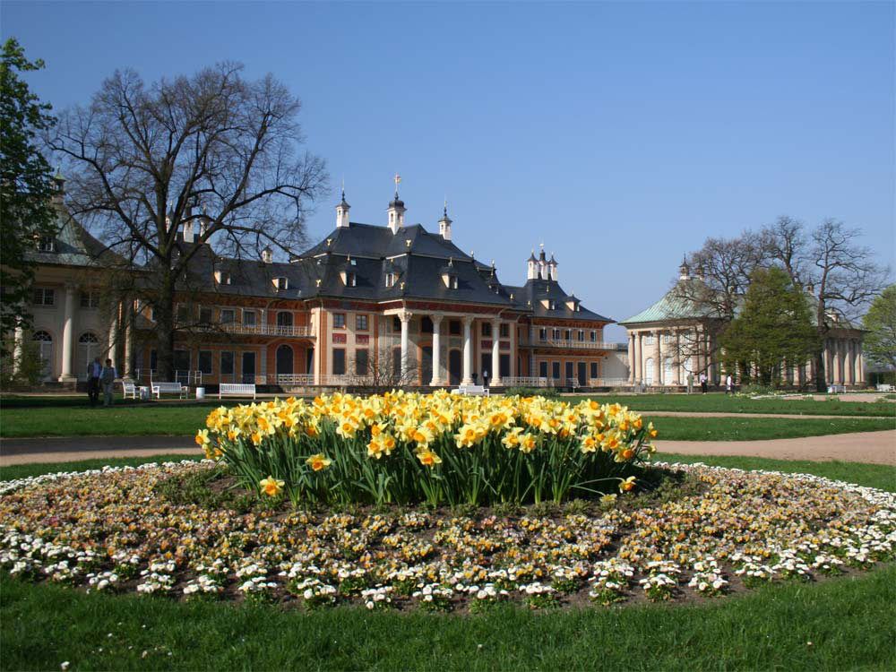 Pillnitzer Schlosspark im Frühling