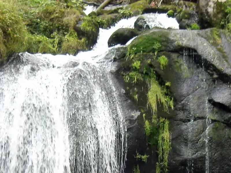 Triberger Wasserfall im Hochschwarzwald