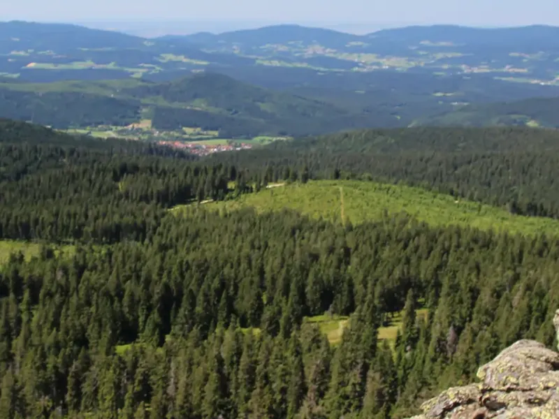Goldsteig zwischen Bayern und Böhmen