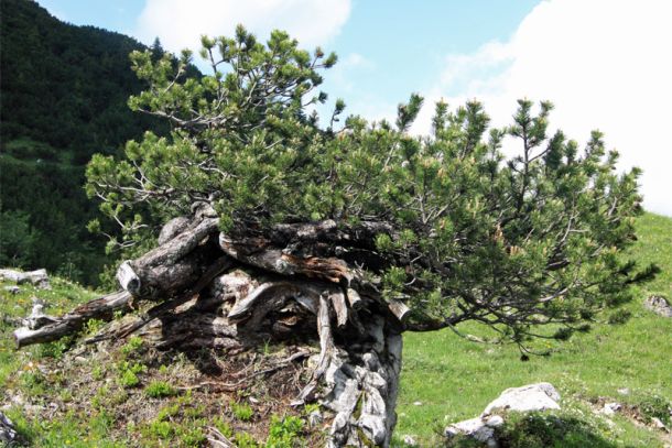 Mähren in Tschechien