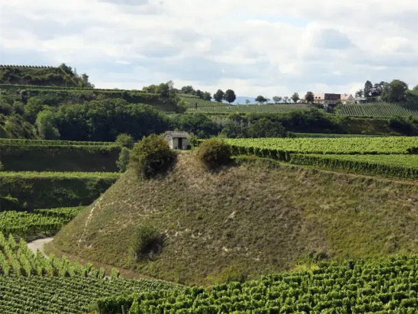 Kaiserstuhl im Schwarzwald