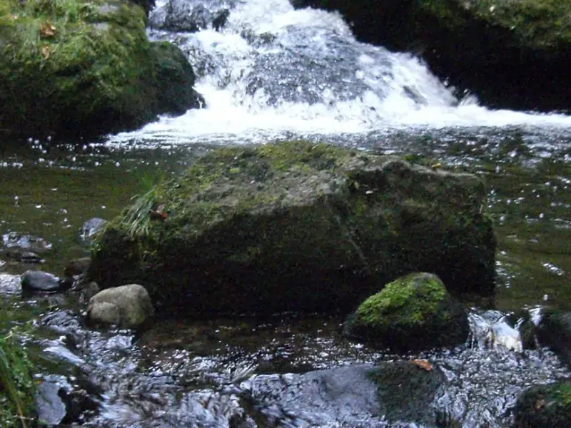 Ravennaschlucht im Hochschwarzwald