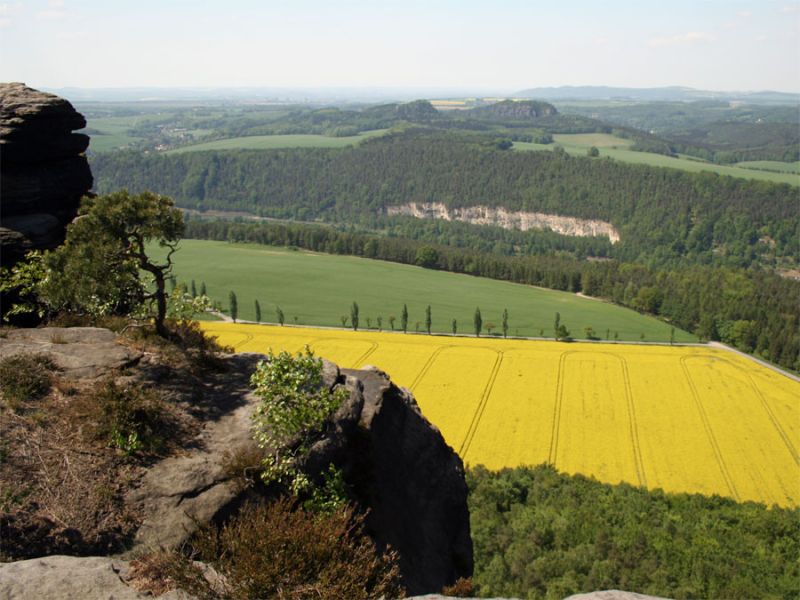 Blick vom Lilienstein