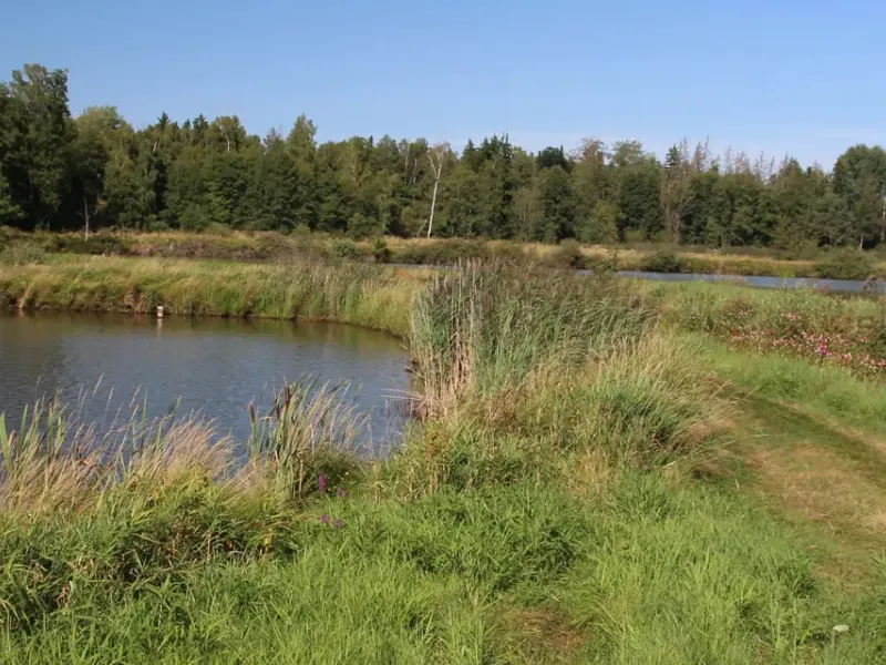 Tirschenreuther Teichpfanne in der Oberpfalz