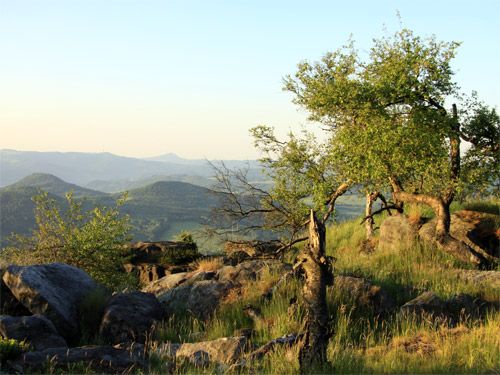 Nationalpark Böhmische Schweiz