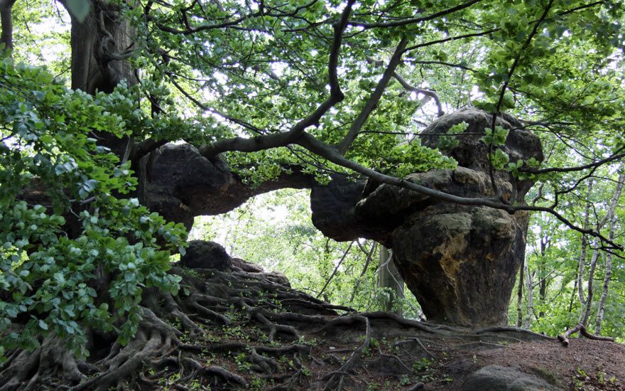 Das Kleine Prebischtor am Wegesrand
