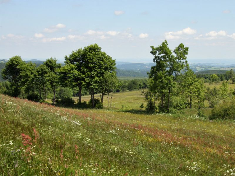 Kammweg Erzgebirge-Vogtland