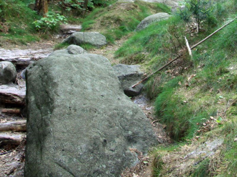 Tafelberg Große Bärenstein in der Sächsischen Schweiz