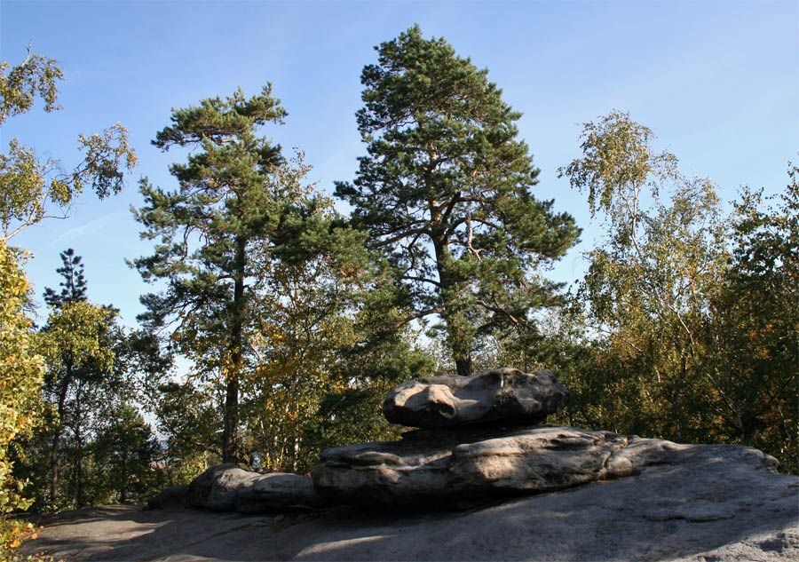 Felsgruppe auf dem Pfaffenstein