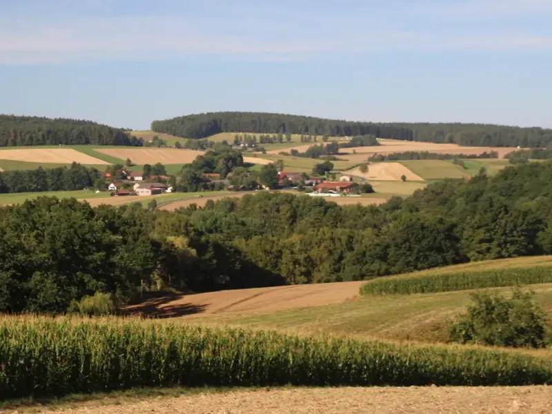 Wandern zwischen Bayern und Böhmen auf dem Goldsteig