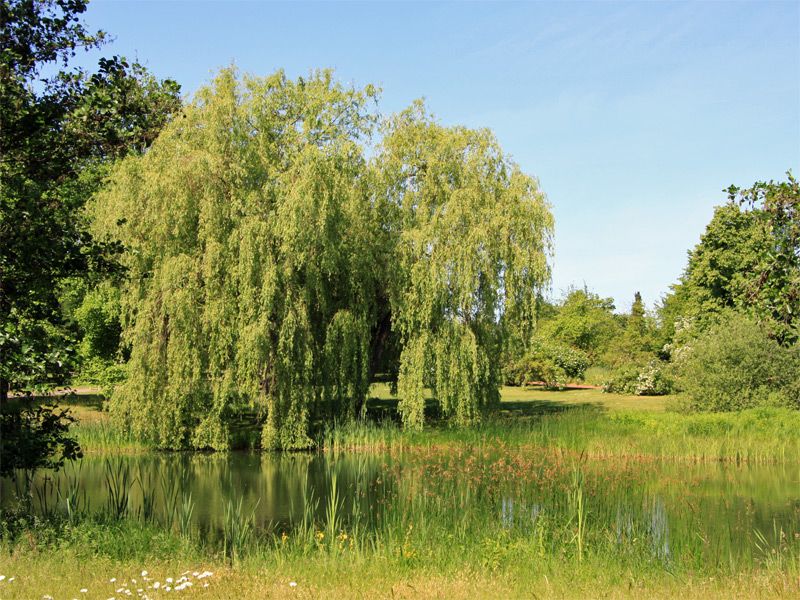 Landschaft im Britzer Garten