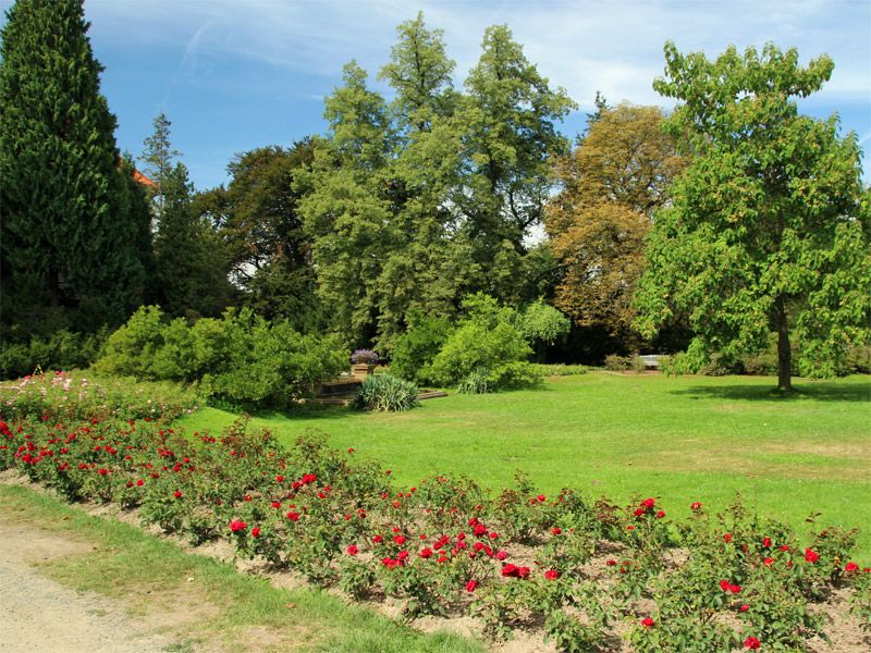  Zámek Park Průhonice (Schloss Pruhonitz)