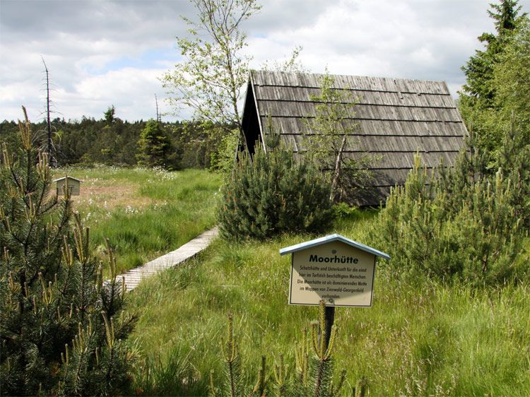 Schutzhütte im Georgenfelder Hochmoor von Zinnwald