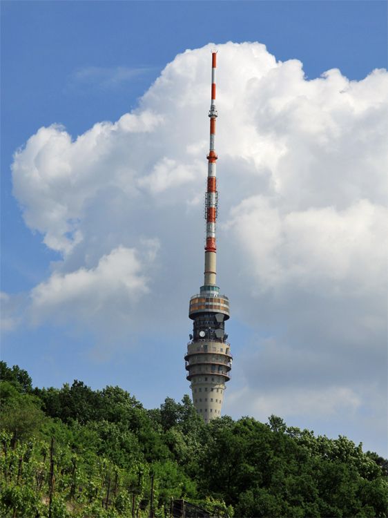 Dresdner Fernsehturm oberhalb vom Wachwitzer Elbhang