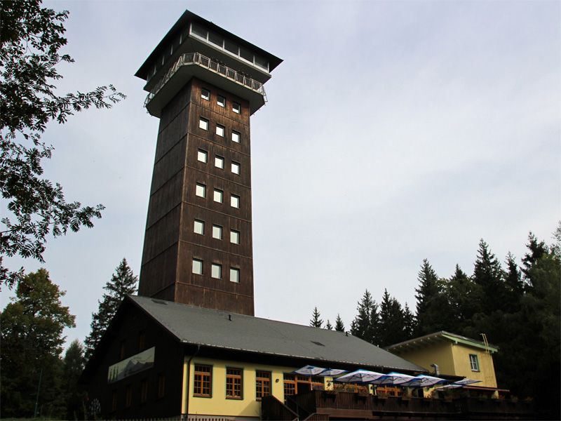 Spiegelwald mit König-Albert-Turm, 1018m