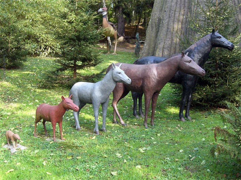 Evolution vom Pferd im Urzeitpark Sebnitz
