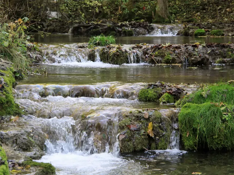 Sinterterassen der Lillach - ein Kalktuffbach