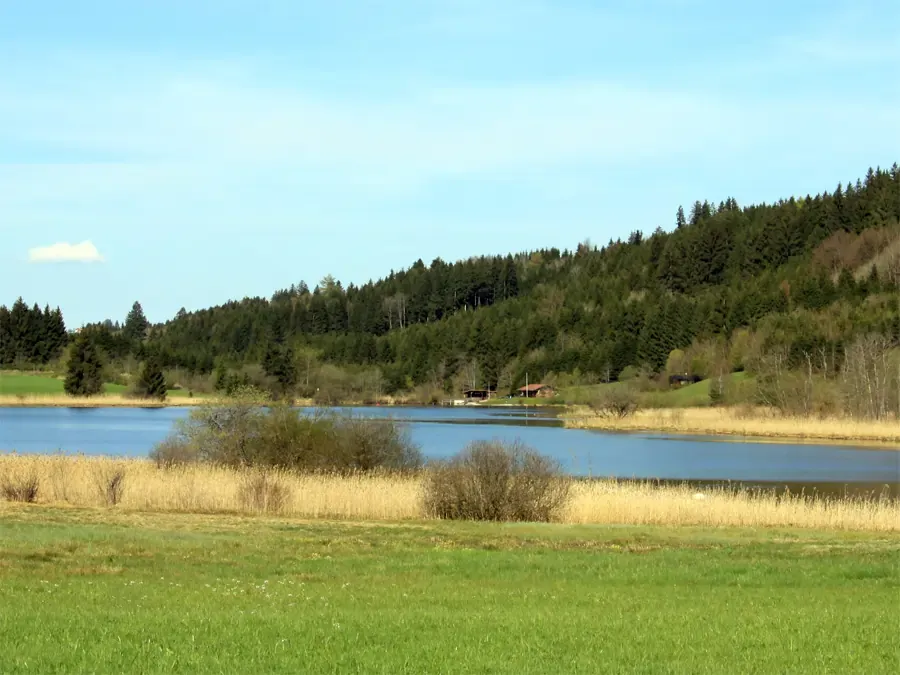 Blick auf den Fluss Wertach