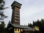 Spiegelwald mit König-Albert-Turm
