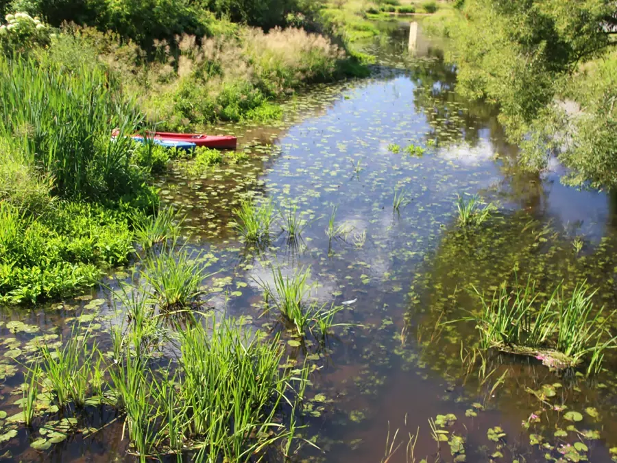 Naturschutzgebiet Waldnaabtal in der Oberpfalz