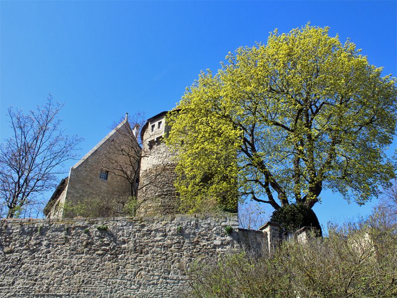 Burg Hornburg