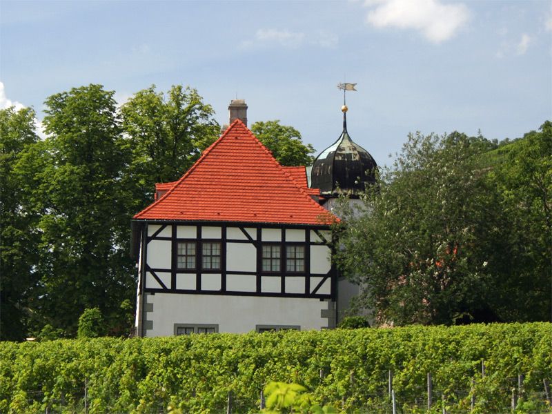 Weinmuseum Hoflößnitz in Radebeul