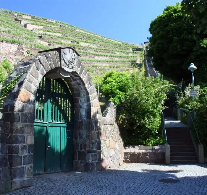 Spitzhaustreppe führt durch die Weinberglage "Goldener Wagen".